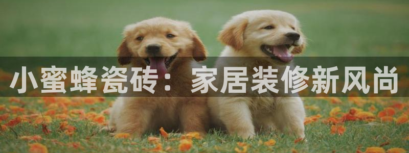 必一体育官方入口