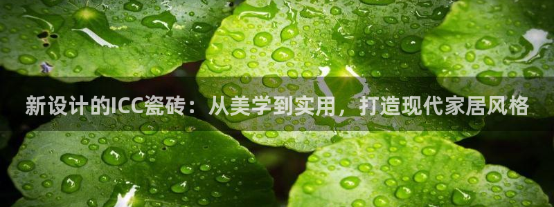 必一体育官网app