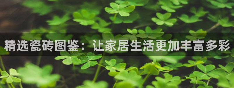 必一体育下载