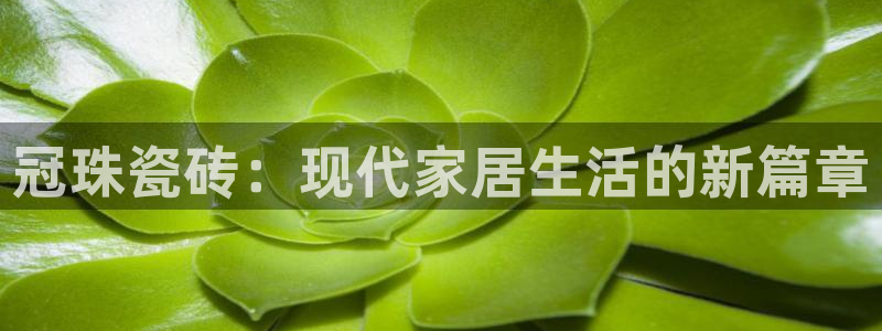 必一运动