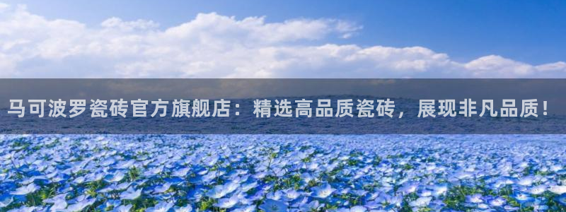 必一体育app官方