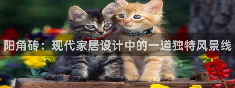 必一体育怎么下载