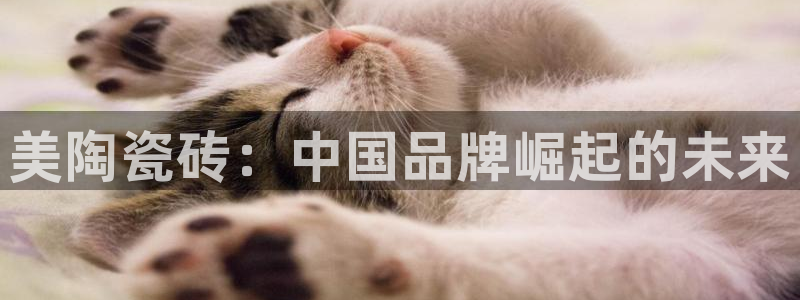 必一体育app下载安装