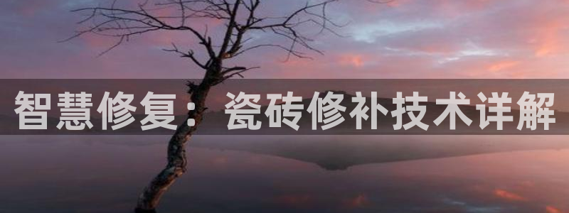 必一运动sport网页版