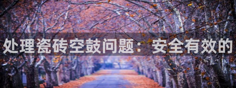 必一体育网页版登录