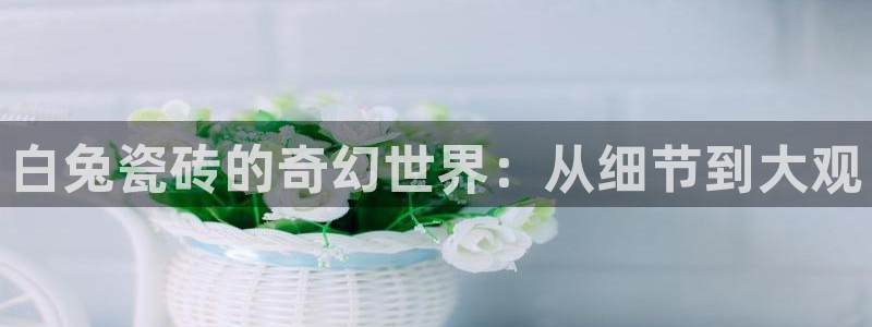 必一体育sportB体育