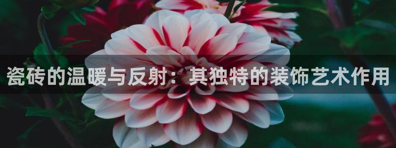 必一体育bsport2023-04-21