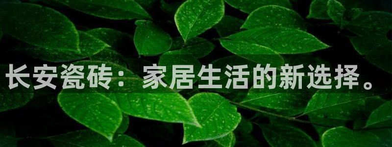 必一体育app下载最新版本苹果