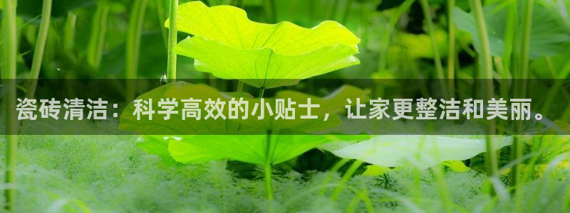 必一体育官方下载