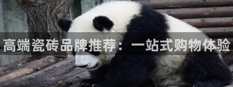 必一运动·(B-Sports)土豆