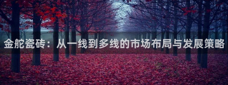 必一体育合法吗