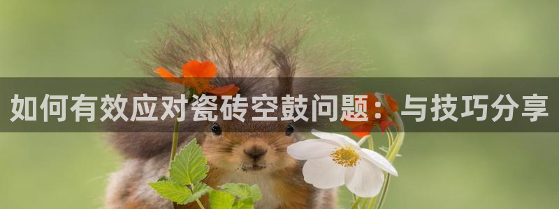 必一运动体育官网下载