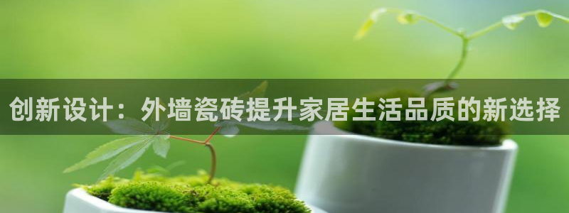 必一体育bsport下载