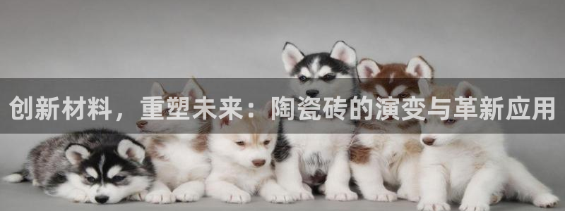 必一体育合法吗