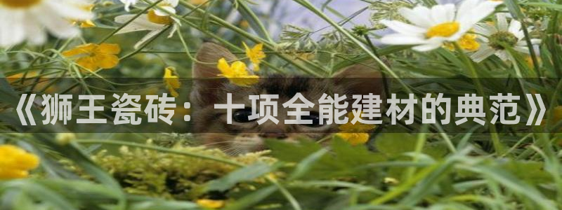 必一体育手机下载