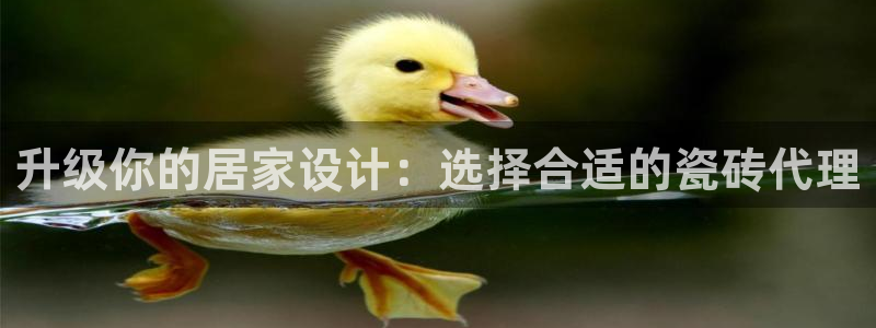 必一体育app平台下载