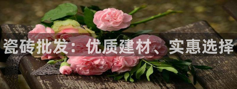 必一体育在线官网