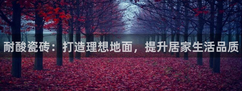 必一运动sport网页版