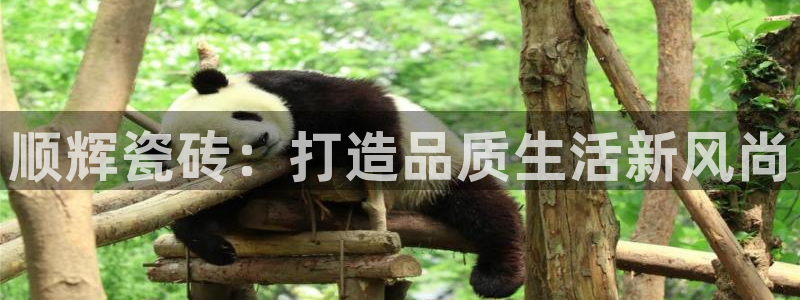 必一体育app官方