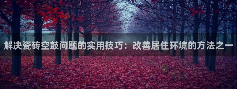 必一体育在线玩