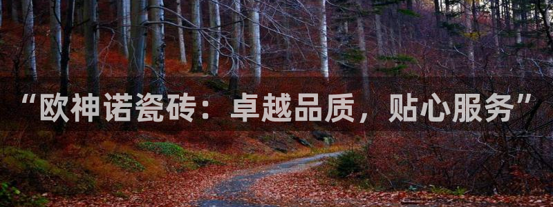 必一运动 b 体育素描版