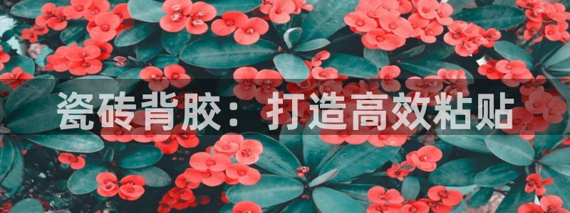 必一体育网页版登录