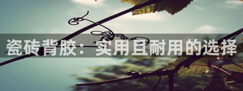 必一体育下载一样吗