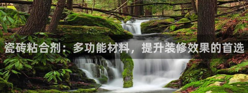 必一体育sport网页版