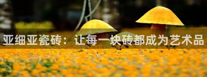 必一体育官方下载入口