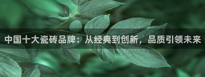 必一体育网页登录版官网