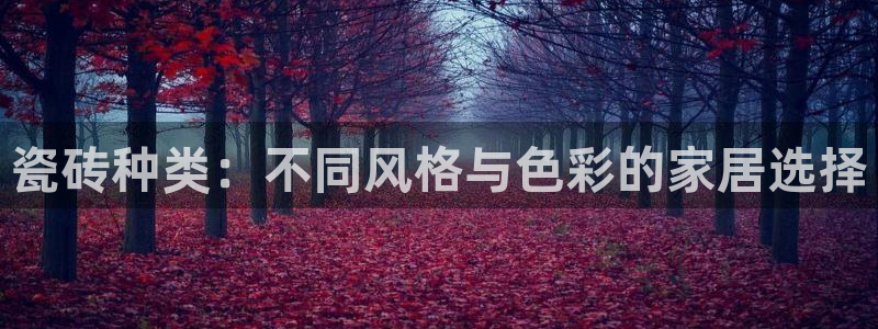 必一体育登录入口APP