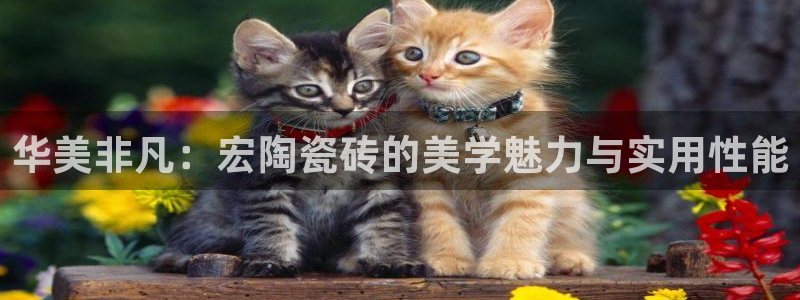 必一体育在线登陆