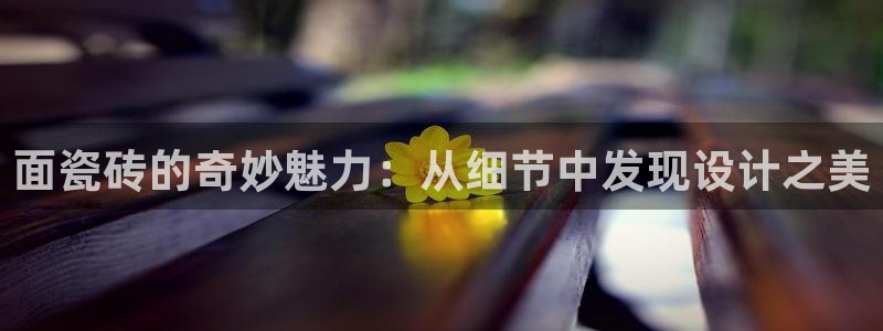 必一体育app下载最新版本