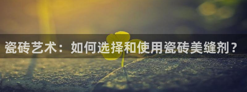 b体育官网下载入口app必一