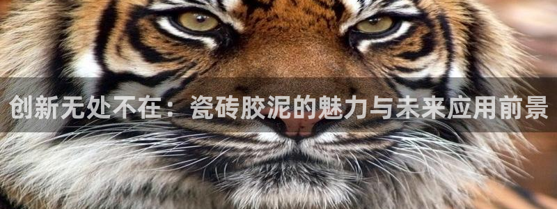 必一体育下载义