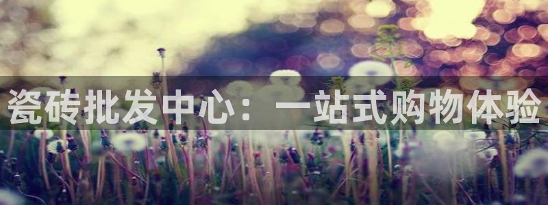 必一体育在线入口