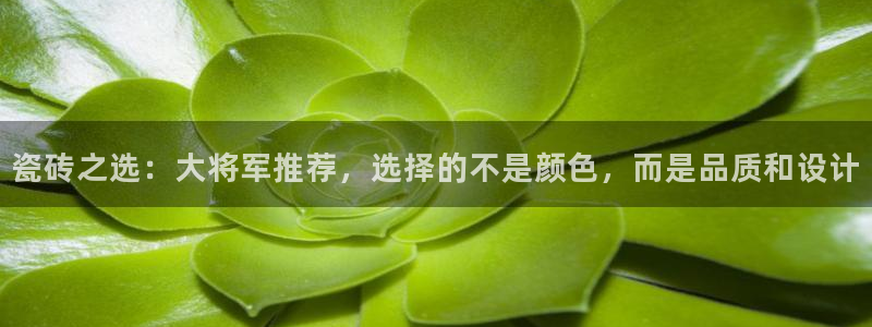 必一运动体育官网