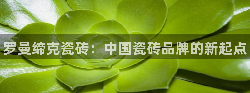 必一体育官方app下载