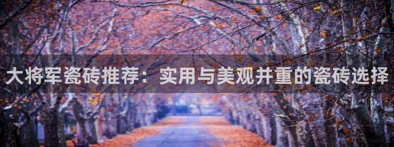 必一体育游戏玩法