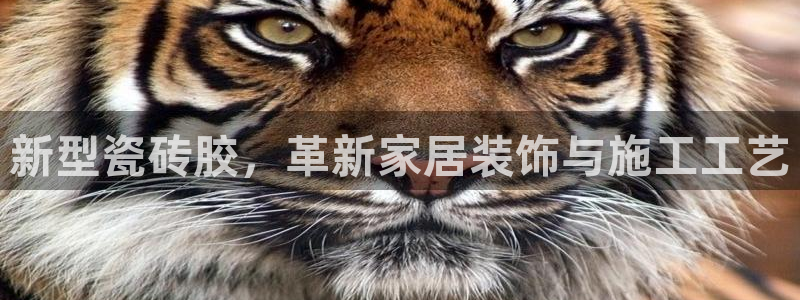 必一体育sport官方网站