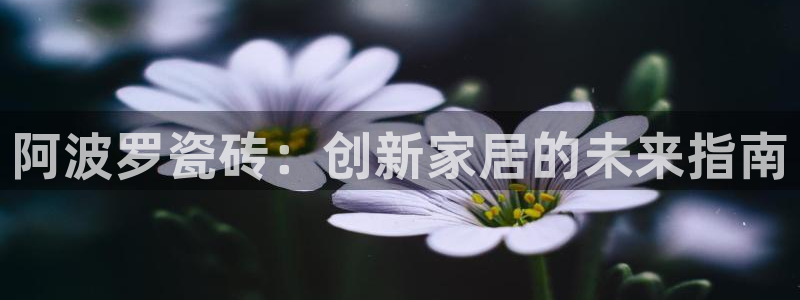 必一体育网页登录版官网