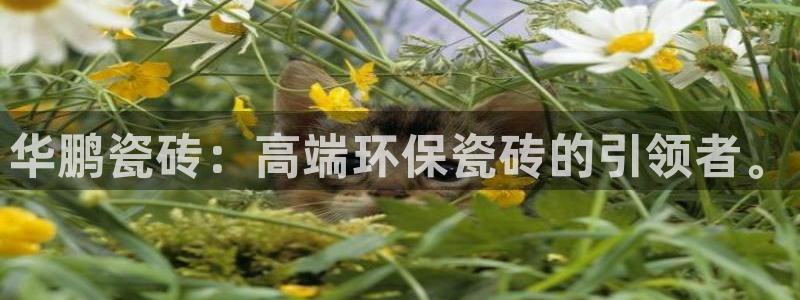 必一体育最新官网入口首页