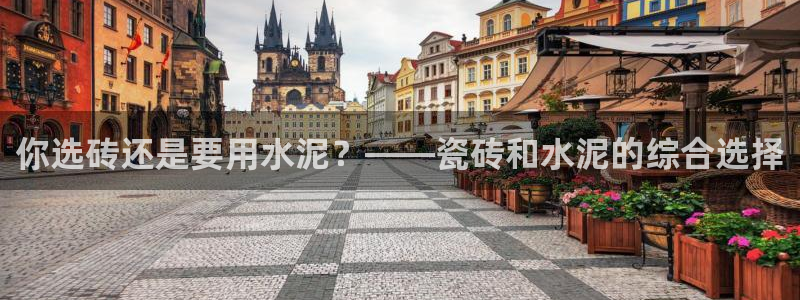 必一运动sport爱查股