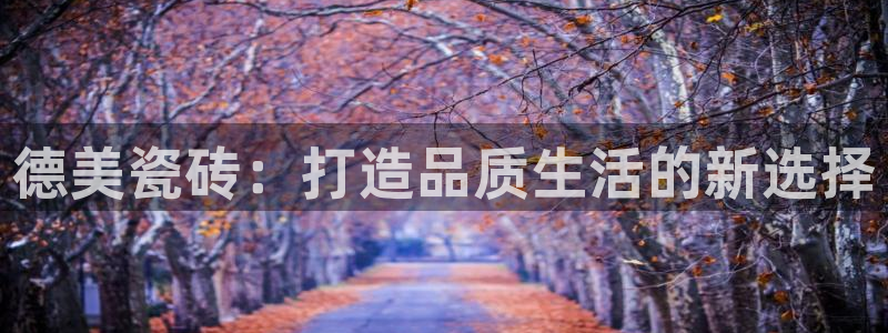 必一体育服下载最新版本更新内容