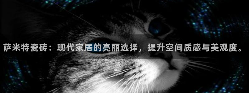 必一体育sport官网