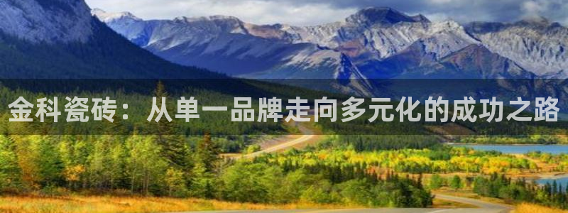 必一体育app下载装机吧