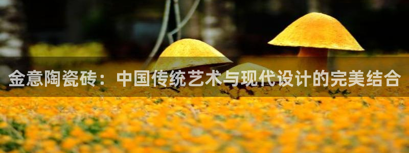 必一体育下载登入