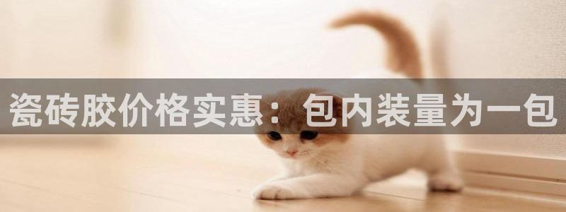 必一体育官方网站入口