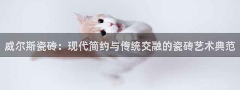 必一运动·(B-Sports)土豆