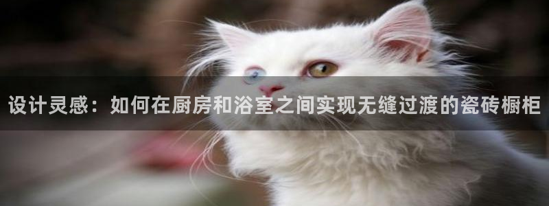 必一体育网址